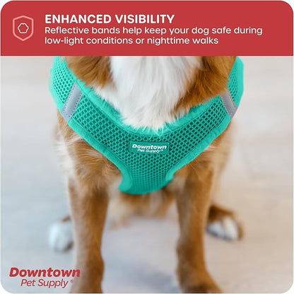Downtown Pet Supply Step-in Dog Harness – No Pull, Adjustable Padded Mesh with Reflective Trim, Secure Buckle Strap – Comfortable & Breathable Small Dog Harness, Small, Bermuda Blue
