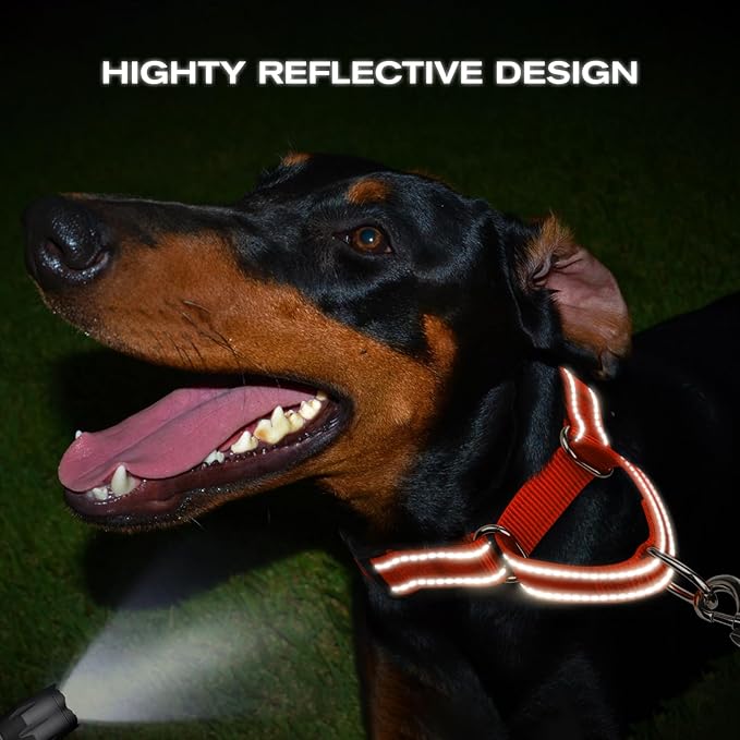 Joytale Martingale Collar for Dogs, Reflective Heavy Duty for Safety, Quick Release Buckle, Adjustable Nylon Collars for Medium Dogs Walking Training, Orange,M