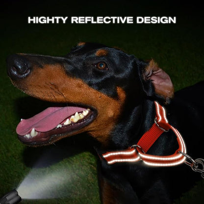 Joytale Martingale Collar for Dogs, Reflective Heavy Duty for Safety, Quick Release Buckle, Adjustable Nylon Collars for Medium Dogs Walking Training, Orange,M