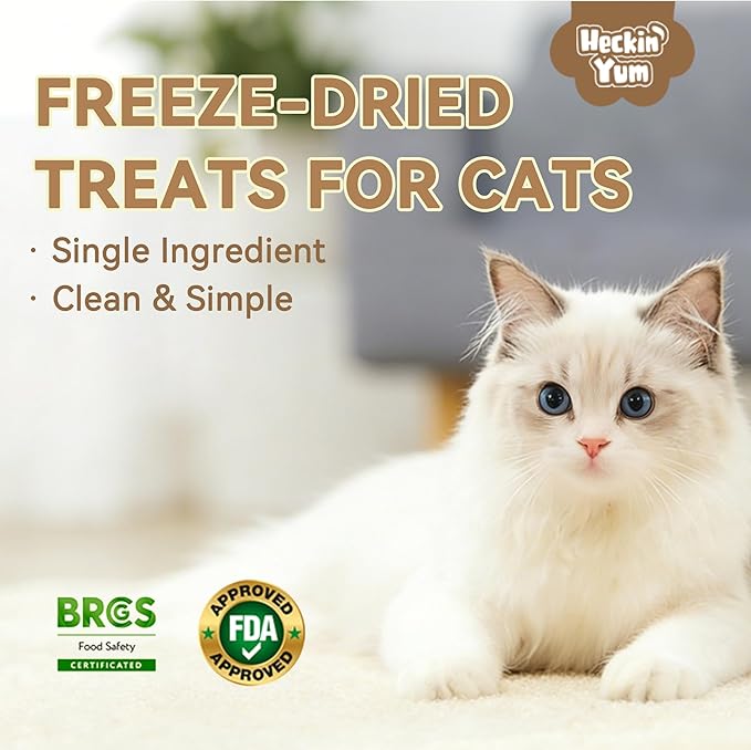 Freeze Dried Beef Liver Treats for Dogs & Cats, Organ Meat, Single Ingredient Food Toppers & Training Snacks, 2 oz
