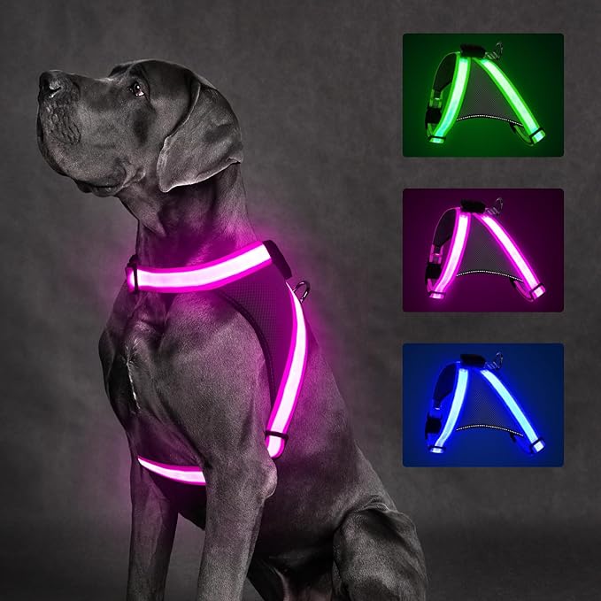 ChalkLit Light Up Dog Harness, No Pull Led Dog Harness Glow-in-The-Dark for Night Walking, USB Rechargeable Lighted Safety Vest for Small Dogs, Adjustable Soft Mesh Fully Illuminated (Pink, Small)