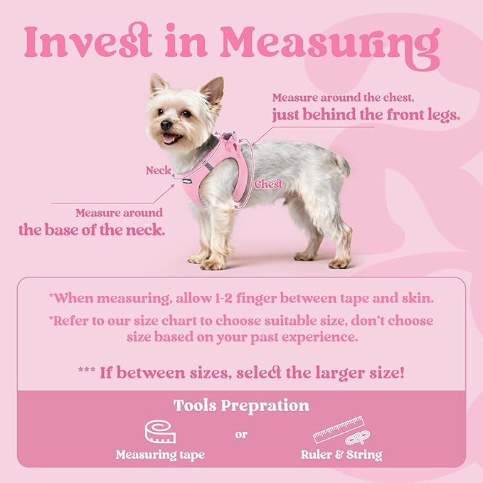 rabbitgoo Small Dog Harness, Step-in Soft Mesh Puppy Vest with Safety Buckle, Breathable Reflective Pet Harness for Large Dogs, Light Pink XXL