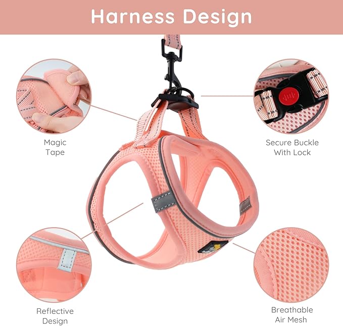 BELLA & PAL Dog Harness for Small Dogs, Medium, Coral Pink, Animal Harness with Leash Set, No Pull, Step in Design, Reflective Strip, Lightweight Mesh, Harness for Extra Small Dogs