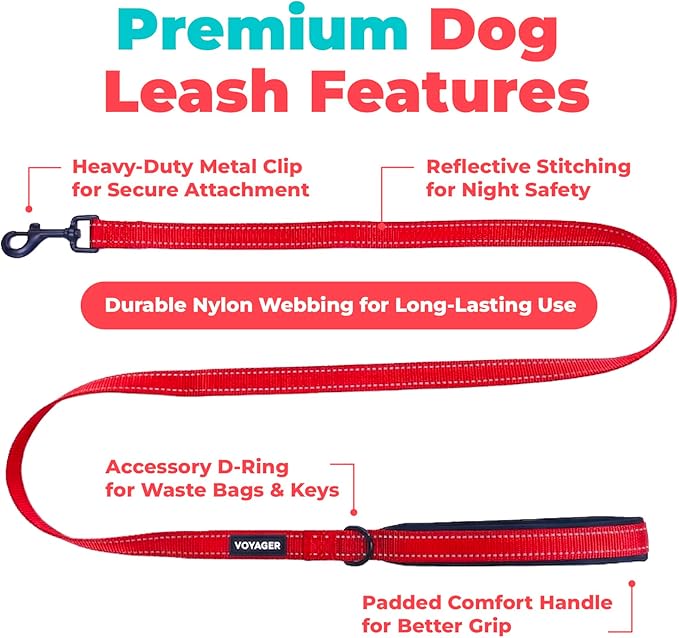 Best Pet Supplies Voyager Reflective Dog Leash or Collar with Neoprene Handle, for Small, Medium, and Large Breed Puppies, Cute and Heavy Duty for Walking, Running and Training - Red (Leash), M
