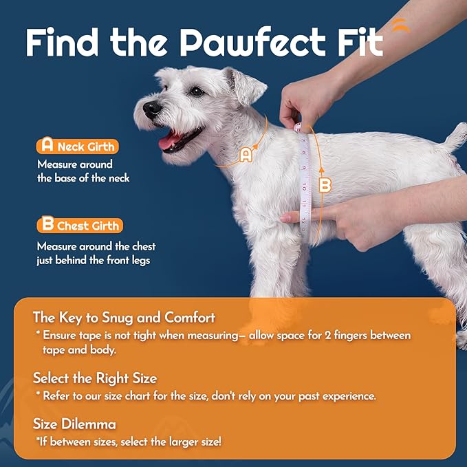 Eagloo Small Dog Harness and Leash Set, Step in Puppy Vest with Breathable Soft Mesh, Walking Reflective Pet Harness for Medium Small Dogs, Blue, M