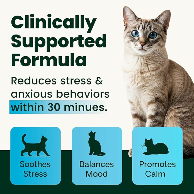 VetriScience Calm & Confident Powder, Composure Calming and Anxiety Supplement for Cats, Reduce Stress and Fear, Ideal for Travel, Vet, Grooming and Routine Changes, Cheese & Chicken Flavor, 60 Scoops
