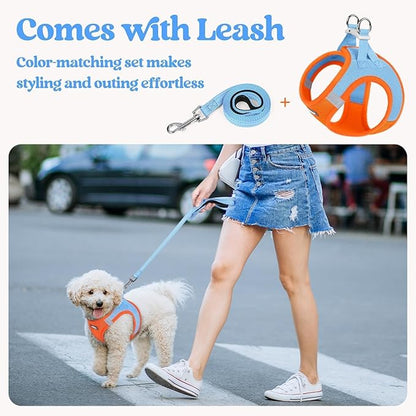 rabbitgoo Dog Harness Small Sized and Leash Set, Step in Soft Light Puppy Vest, Breathable Mesh Pet Harness, Reflective for Safe Easy Walking, Blue & Orange M