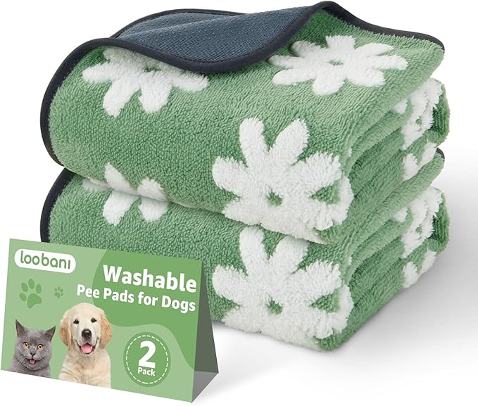 LOOBANI Washable Puppy Pads: Waterproof Reusable Pee Pads for Dogs, Non-Slip and Leak-Proof Dog Pee Mat, Absorbent Dog Training Pads for Puppy Playpen, Crate, Potty Training (36"x24", 2 Packs)