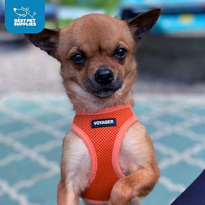 Best Pet Supplies Voyager Step-in Air Harness - All Weather Mesh, Reflective, No Pull Harness for Dogs, Cats - Secure with Hook & Loop Fastener, Buckle, Double D-Rings - Orange, L