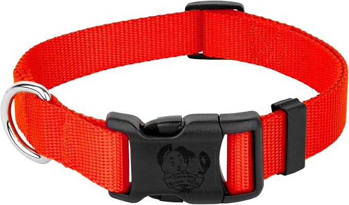 Country Brook Petz - Everyday Nylon Dog Collar for Large, Medium, and Small Dogs and Puppies - for Everyday Use in 10+ Warm Colors (3XS, 3/8 Inch Wide, Copper Gold)