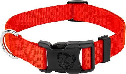Country Brook Petz - Everyday Nylon Dog Collar for Large, Medium, and Small Dogs and Puppies - for Everyday Use in 10+ Warm Colors (3XS, 3/8 Inch Wide, Copper Gold)