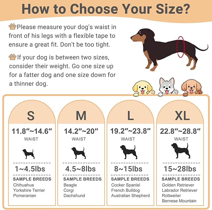 Mkono Male Dog Belly Band Wraps Washable Dog Diapers Male for Small and Medium Dogs (3 Pack), Waist 22.8 Inches to 28.8 Inches