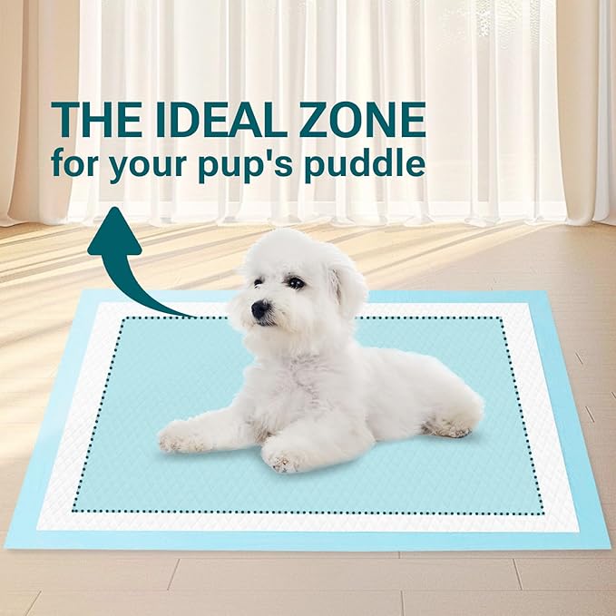 Clean Spaces Super Absorbent Puppy Pads 22"x22" 30 Count, Quick Drying Dog Training Pee Pads, Disposable Underpads for Baby and Adults