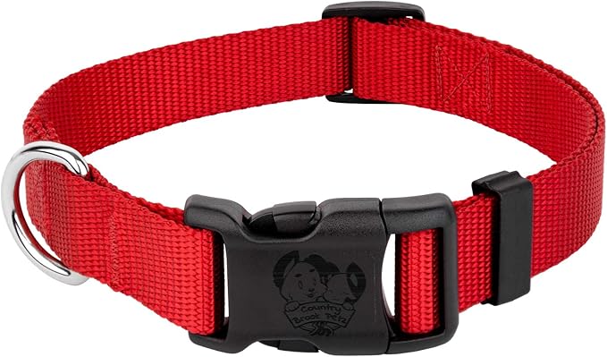 Country Brook Petz - Everyday Nylon Dog Collar for Large, Medium, and Small Dogs and Puppies - for Everyday Use in 10+ Warm Colors (Extra Large, 1 Inch Wide, Bright Red)