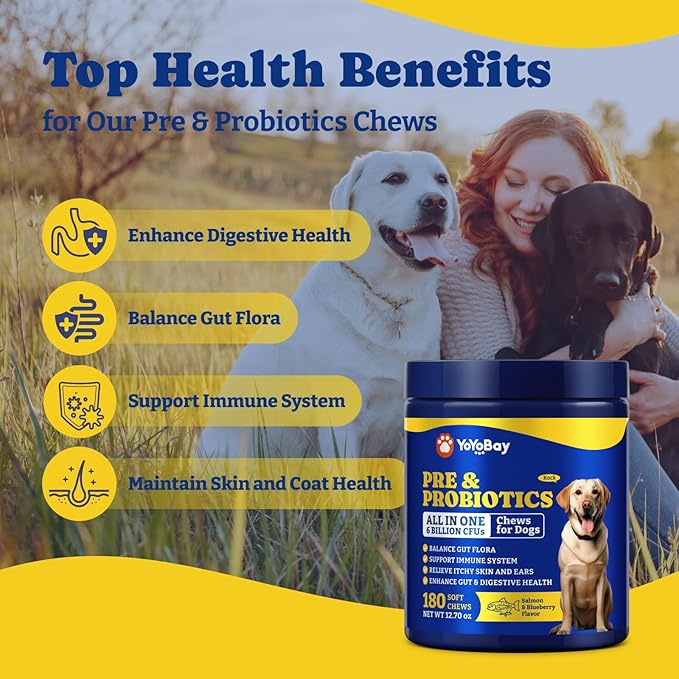 Probiotics for Dogs - Dog Probiotics for Gut, Immune & Skin Health - 6 Billion CFUs, 180 Soft Chews, Salmon & Blueberry Flavor - with Prebiotics & Digestive Enzymes