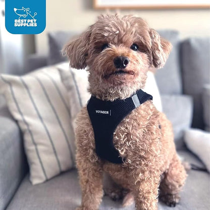 Best Pet Supplies - All Weather Mesh / Plush, Reflective, No Pull Harness for Small, Medium Dogs, Cats - Secure with Hook & Loop Fastener, Buckle, Double D-Rings - Black/Black Trim, S