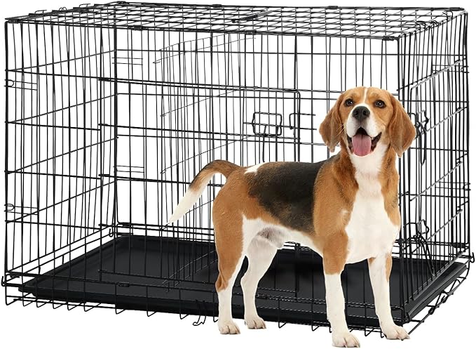 30 Inch Dog Crate for Small Dog, Metal Wire Pet Dog Cage for Small Animals Rabbit Indoor Outdoor Foldable Metal Dog Kennel with Divider Panel, Leak-Proof Plastic Pan