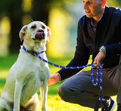 6 FT Heavy Duty Dog Leash, Durable Premium Quality Strong Training Rope Slip Leash with Comfortable Padded Handle and Highly Reflective Threads for Small Medium and Large Dogs, (Deep Blue)