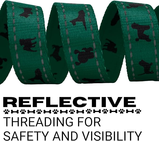 EcoBark Dog Leash - Soft & Reflective Comfort Leash with Padded Handle - Safe, Strong, & Durable for Small, Medium or Large Dogs (Forest Green)