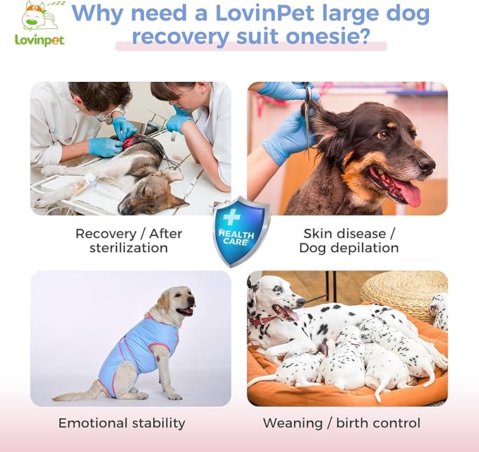 LovinPet Dog Recovery Suit for Large Medium Dogs - Bodysuit Onesie for Shedding Skin Disease Pet Pajamas Dog Anti Licking for Abdominal Wound After Surgery,Elephant,Blue,XXL