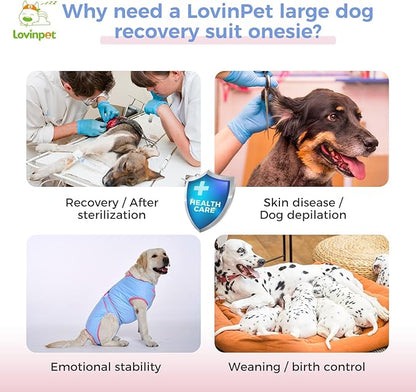 LovinPet Dog Recovery Suit for Large Medium Dogs - Bodysuit Onesie for Shedding Skin Disease Pet Pajamas Dog Anti Licking for Abdominal Wound After Surgery,Elephant,Blue,XL