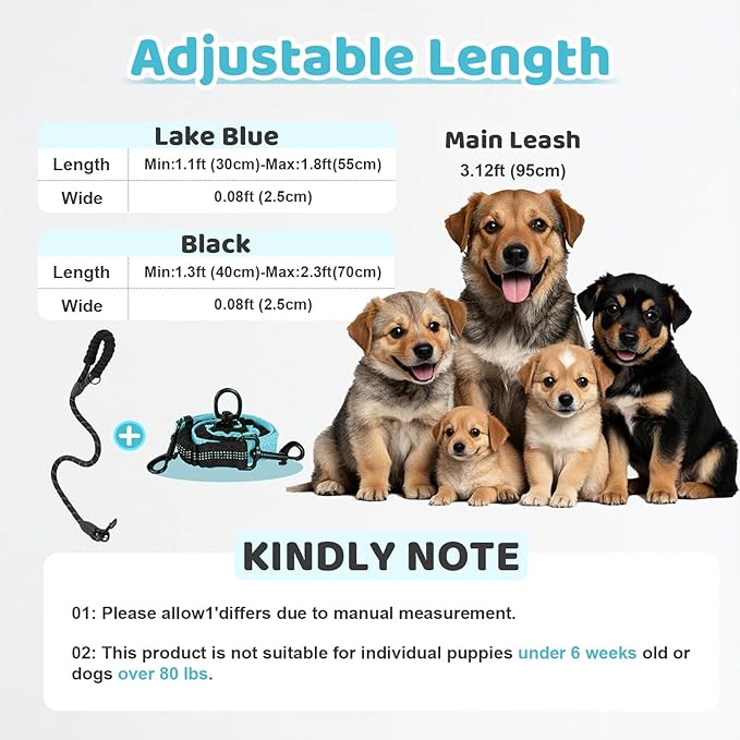 Double Dog Leash - 360°Swivel Tangle Free Splitter Attachment, 1 Rope with Handle, 2 Dogs Multi-Functional Leash, for Outdoor Walk Train Small Medium Large Two Pet, Lake Blue