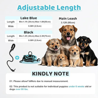 Double Dog Leash - 360°Swivel Tangle Free Splitter Attachment, 1 Rope with Handle, 2 Dogs Multi-Functional Leash, for Outdoor Walk Train Small Medium Large Two Pet, Lake Blue