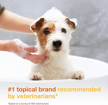 Douxo S3 Pyo Shampoo, Contains 3% Chlorhexidine & 0.5% Ophytrium, Antiseptic & Hydrating, For Bacterial or Yeast Skin Infections, For Dogs and Cats, 16.9 fl. oz. (500mL)