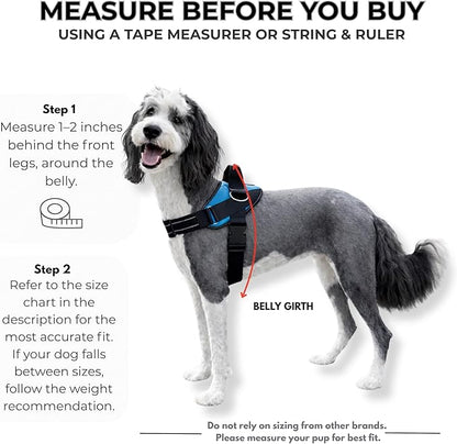 ShawnCo Essential Dog Harness, No-Pull Pet Vest with 3 Leash Clips, No Choke, Reflective, Adjustable and Padded, for Easy Walking and Training for Small, Medium and Large Dogs (Rose Gold, L)