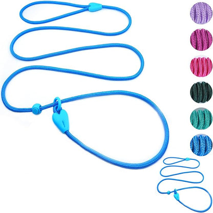2 Pack Slip Leads for Dogs 6FT Slip Leash for Dogs Dog Lead Strong Nylon Dog Training Leash No Pull Rope Dog Leash Dog Leashes for Small Medium Dogs(Blue+Blue)