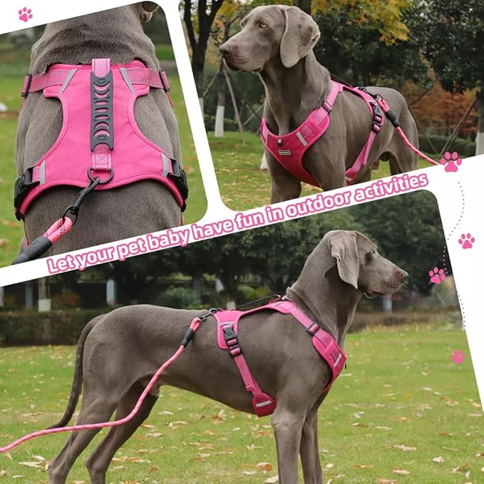 Dog Harness No Pull Adjustable Reflective,for Medium and Large Small Dog with Leash 59.06in (Fuscia, S)