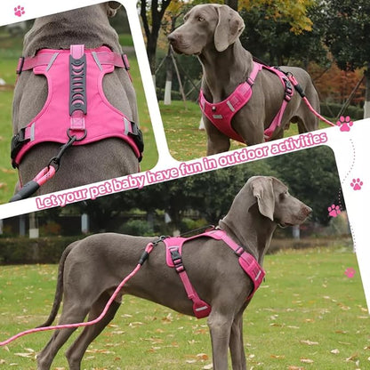 Dog Harness No Pull Adjustable Reflective,for Medium and Large Small Dog with Leash 59.06in (Fuscia, L)