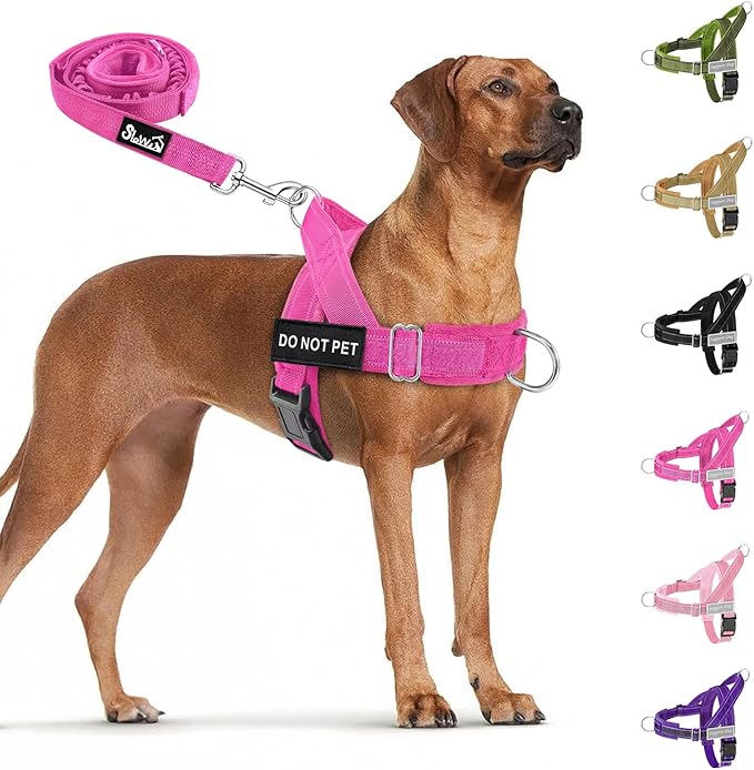 SlowTon No Pull Dog Harness - Heavy Duty Dog Harness and Leash Set for Medium Large Dogs, Reflective Tactical Harness with Soft Padded and Front Clip for Easy Walk and Training (Fuchsia L)