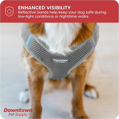 Downtown Pet Supply Step-in Dog Harness – No Pull, Adjustable Padded Mesh with Reflective Trim, Secure Buckle Strap – Comfortable & Breathable Small Dog Harness, XX-Small, Light Gray