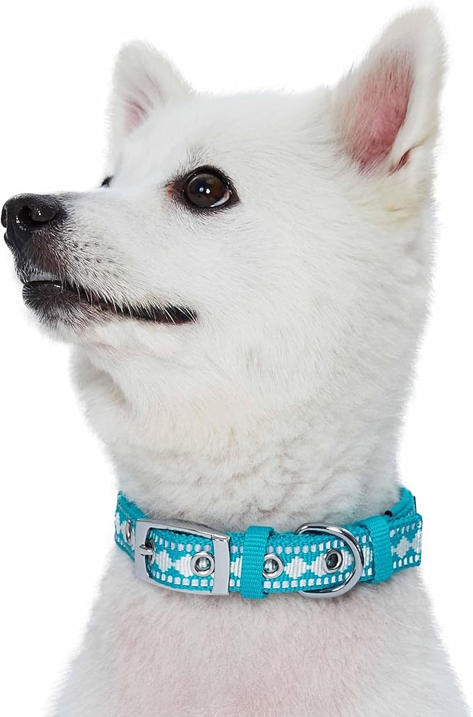 Blueberry Pet Reflective Jacquard Dog Collar with Neoprene Padding & Metal Buckle | Soft & Adjustable Safety Collar - Peacock, Neck 13-16.5", for Medium Breed