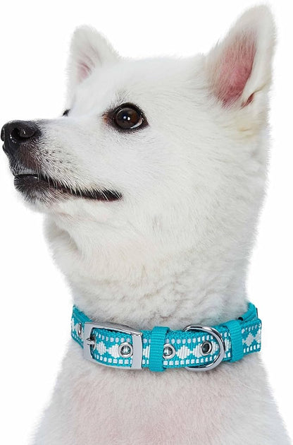 Blueberry Pet Reflective Jacquard Dog Collar with Neoprene Padding & Metal Buckle | Soft & Adjustable Safety Collar - Peacock, Neck 13-16.5", for Medium Breed