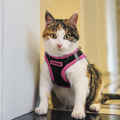 Best Pet Supplies - All Weather Mesh/Plush, Reflective, No Pull Harness for Small, Medium Dogs, Cats - Secure with Hook & Loop Fastener, Buckle, Double D-Rings - Black/Pink Trim, S