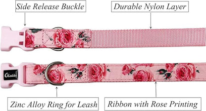 Dog Collar Leash Set, Floral Pattern, Nylon Webbing Plus Cotton Ribbon, 5ft Matching Leash, for Small Dogs.(S, Pink Rose)