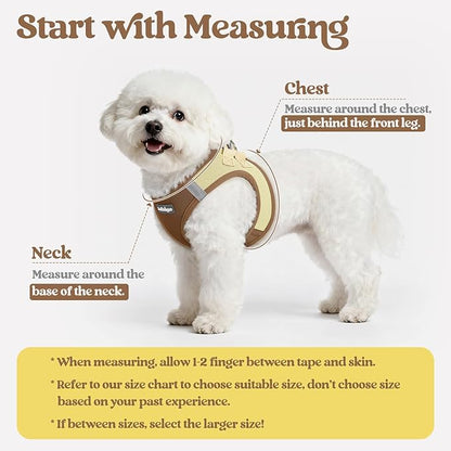 rabbitgoo Dog Harness Small Sized and Leash Set, Step in Soft Light Puppy Vest, Breathable Mesh Pet Harness, Reflective for Safe Easy Walking, Brown & Beige M