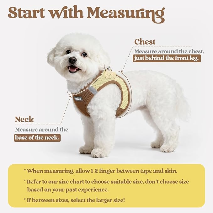 rabbitgoo Dog Harness Small Sized and Leash Set, Step in Soft Light Puppy Vest, Breathable Mesh Pet Harness, Reflective for Safe Easy Walking, Brown & Beige XXS