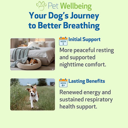Pet Wellbeing Respir-Gold for Dogs - Lower Respiratory Support, Holistic Lung Health & Deep Breathing with Black Cumin & Horehound - NASC Certified & Vet Formulated - 2 oz Liquid Formula