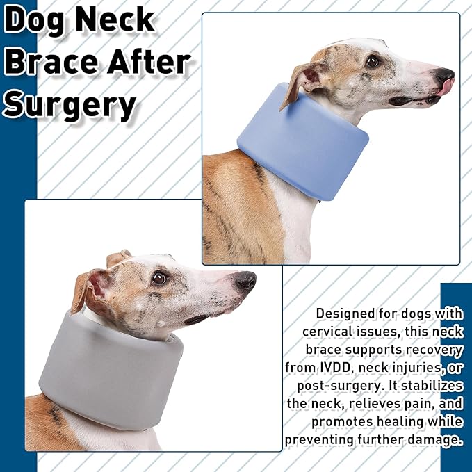 ETIAL Dog Neck Brace After Surgery, Breathable Dog Protective Collar to Prevent Pets from Anti-Bite Lick Wound Healing, E-Collar & Cone Collar Alternative for Small Medium Large Dogs (Blue, XL)