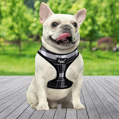 PUPTECK Soft Mesh Dog Harness and Leash Set Pet Puppy Cat Comfort Padded Vest No Pull Harnesses, Black, XL