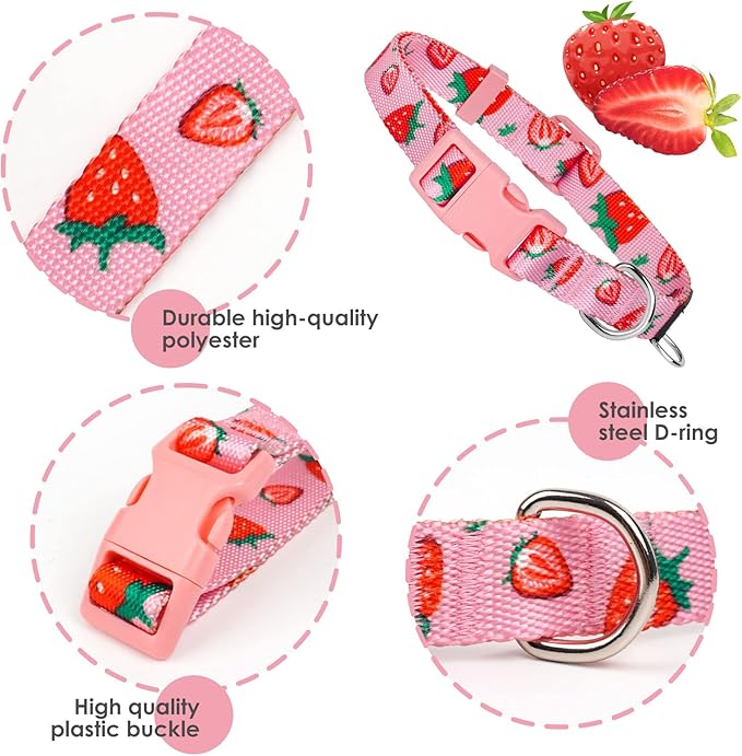 azuza Fruit Dog Collar and Leash Set, Collar Nylon and Matching Leash, Great Option for Medium Dogs, Strawberry, M (Neck: 14"-20")