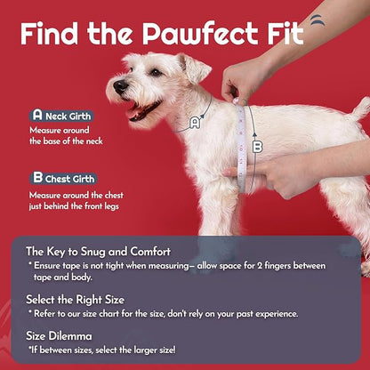 Eagloo Small Dog Harness and Leash Set, Step in Puppy Vest with Breathable Soft Mesh, Walking Reflective Pet Harness for Small Dogs, Red, XS