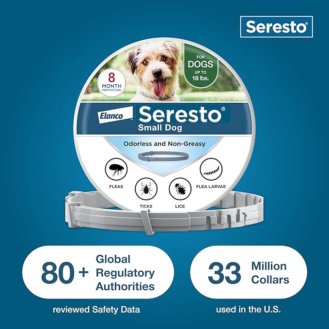 Seresto Small Dog Vet-Recommended Flea & Tick Treatment & Prevention Collar for Dogs Under 18 lbs. | 8 Months Protection