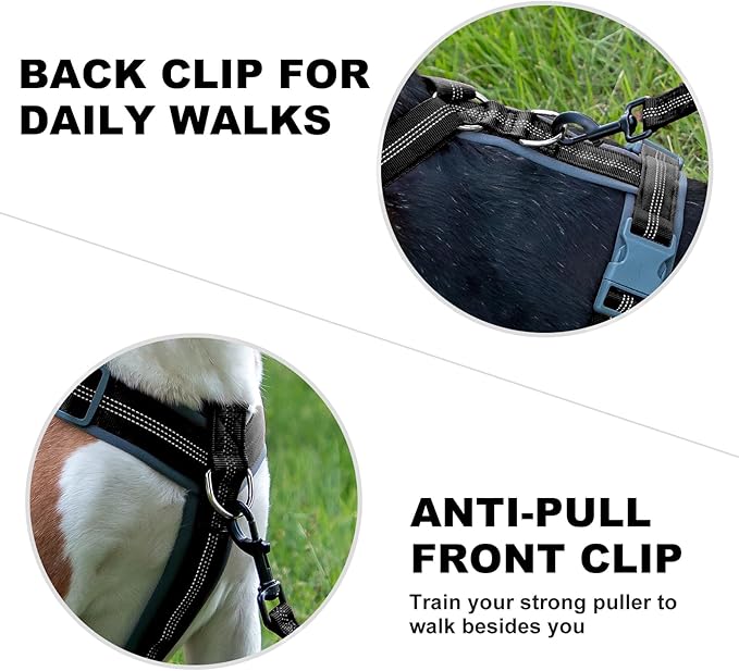 Plutus Pet No Pull Dog Harness, Adjustable Nylon Harness with Soft Padding, Reflective and Heavy Duty Dog Harness for Small, Medium, Large Dogs(Black, S)