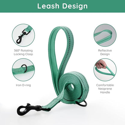BELLA & PAL Step in Vest Harness for Small and Medium Dogs, No Pull Small Dog Harness with Leash Set, Comfortable Air Mesh Dog Vest Harness with Reflective Strip (Emerald, XS)