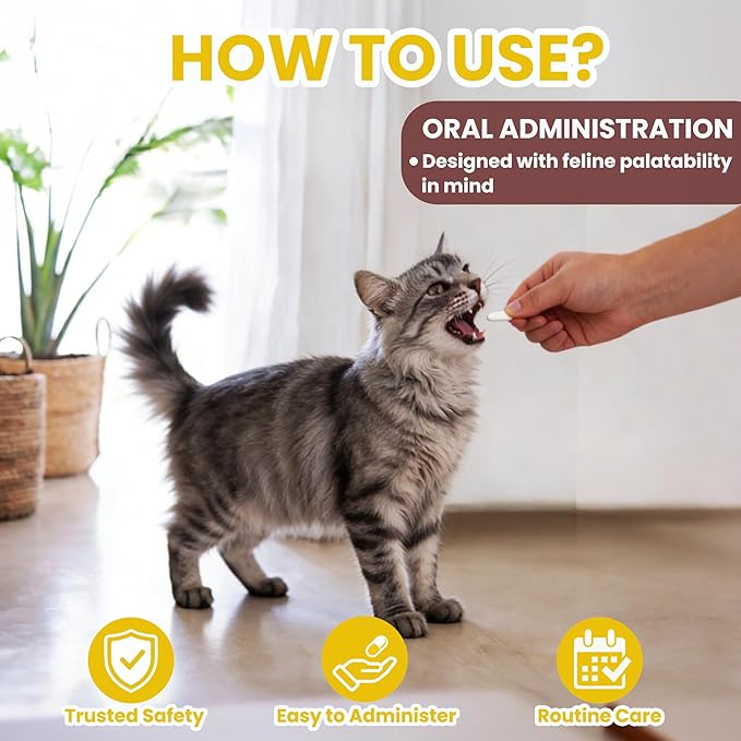 Dewormer for Cats & Kittens, Fenbendazole for All Wormers, Roundworms, Hookworms and Whipworms, 24 Tablets