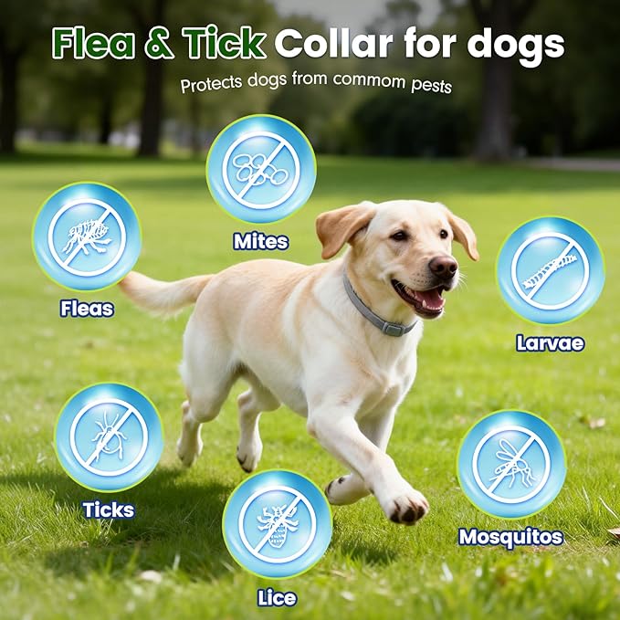 KOOSA Flea and Tick Collar for Dogs, 4 Packs Flea Collar for Dogs with Natural Essential Oils, Waterproof & Adjustable Flea and Tick Prevention Collar for Small Medium Large Dogs & Puppies, Grey